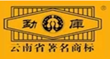 &#24320;&#20113;&#32593;&#39029;&#29256;&#95;&#24320;&#20113;&#40;&#20013;&#22269;&#41;&#23448;&#26041;