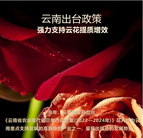 &#24320;&#20113;&#32593;&#39029;&#29256;&#95;&#24320;&#20113;&#40;&#20013;&#22269;&#41;&#23448;&#26041;